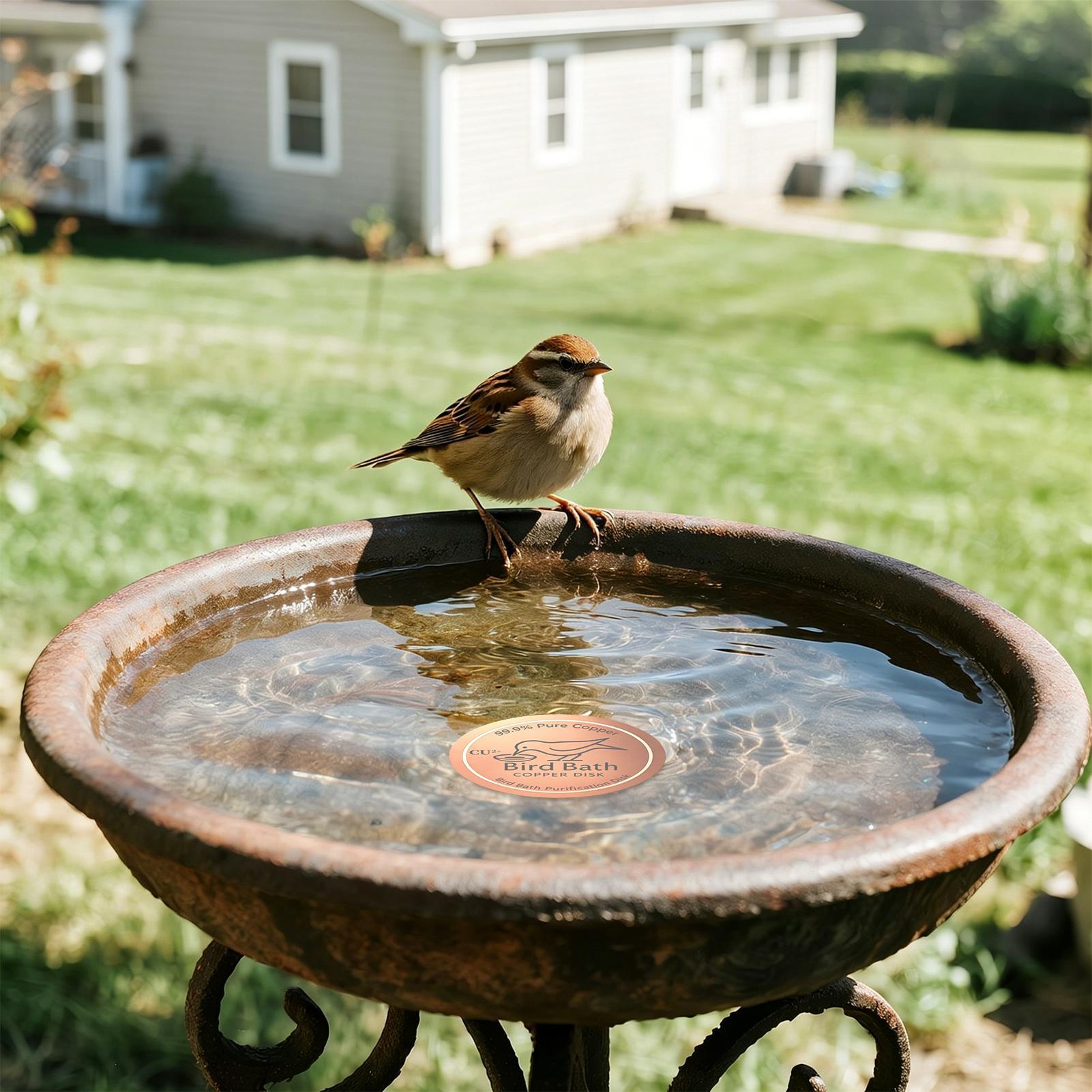 Farming A - Медный диск для очистки воды в