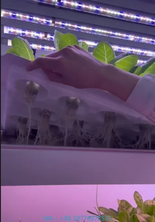 Farming Agriculture Equipment - f Теплица Сельскохозяйственное оборудование для выращивания