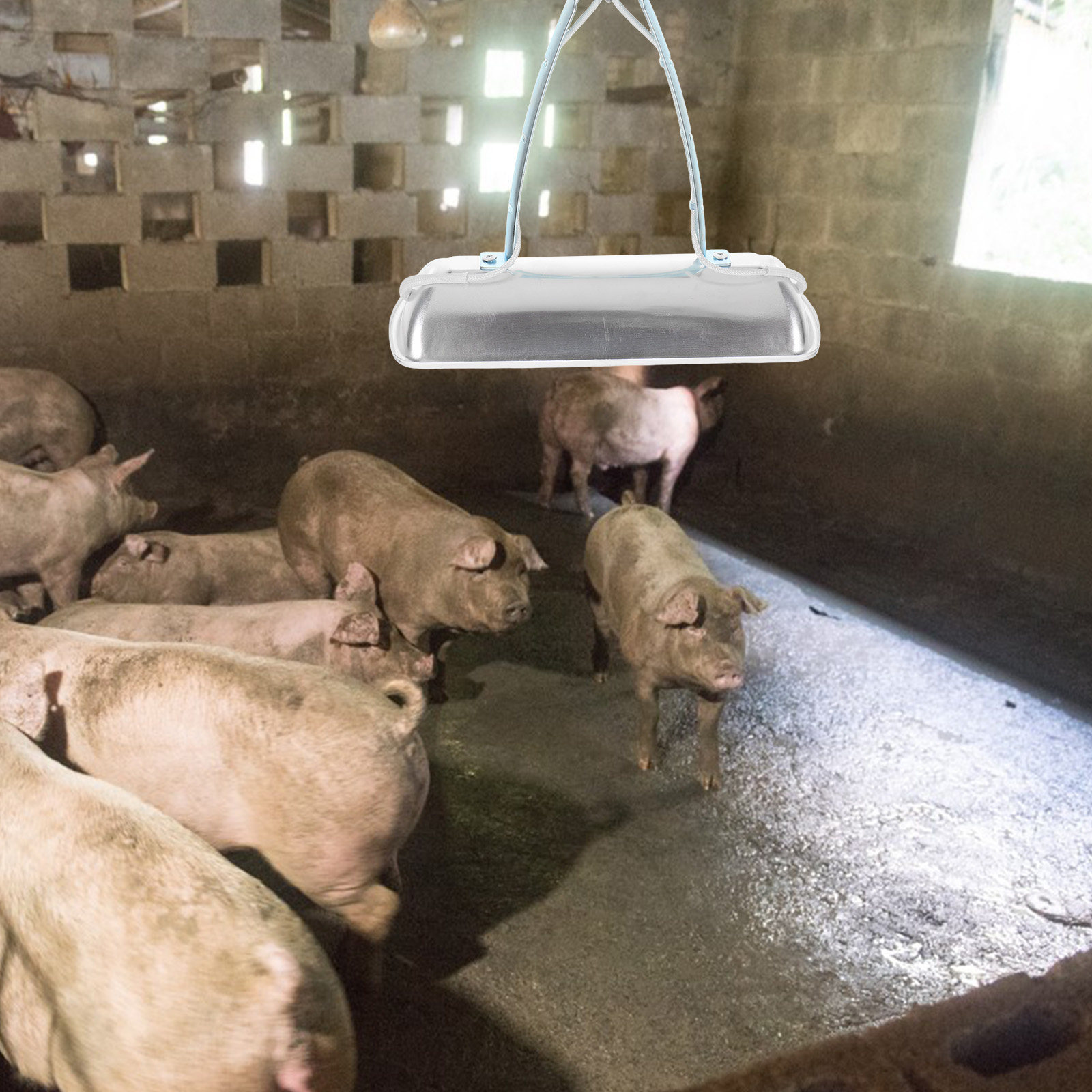 Farming A - Лампа для обогрева свиноводческих ферм E27