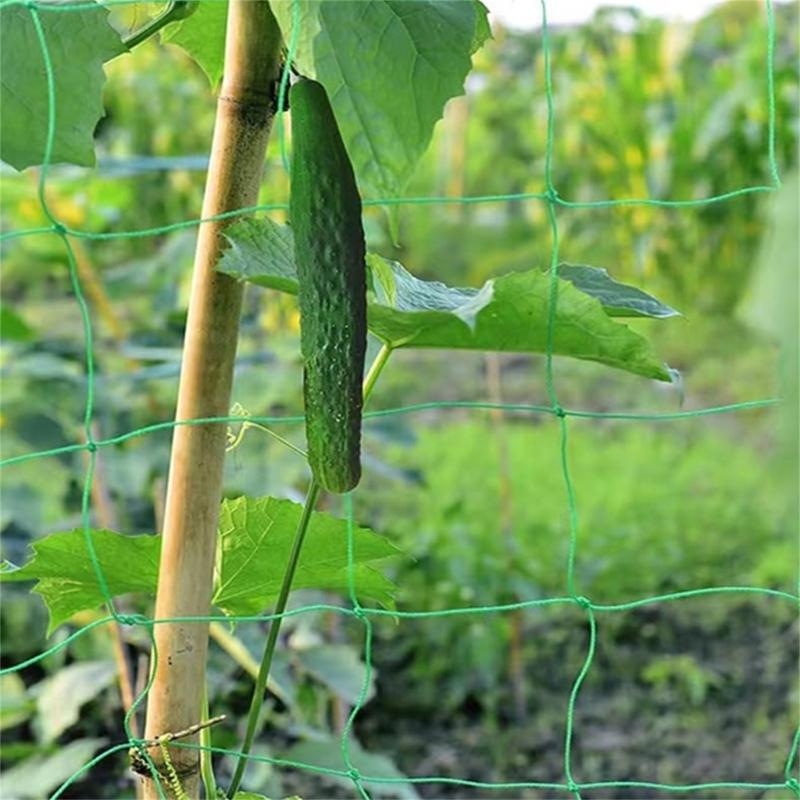 Садовая решетка, сетка для под – обзор и цена Agriculture Farming Net