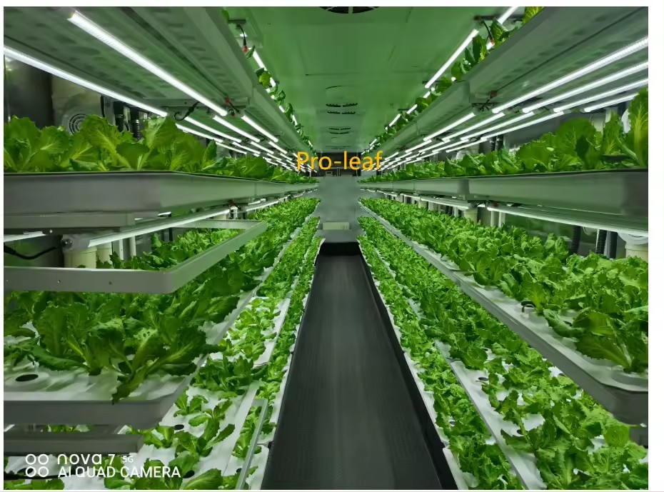 f Теплица Сельскохозяйственное – обзор и цена Farming Agriculture Equipment