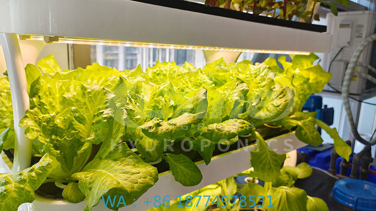 c Сельскохозяйственная машина  – обзор и цена Farming Agriculture Equipment