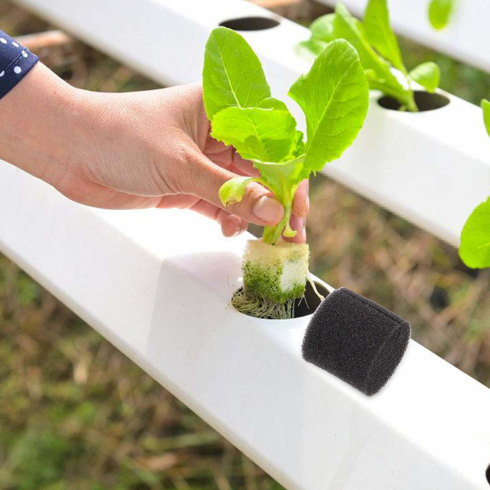 100 шт. губчатых блоков для ги – обзор и цена Vegetable Transplanter