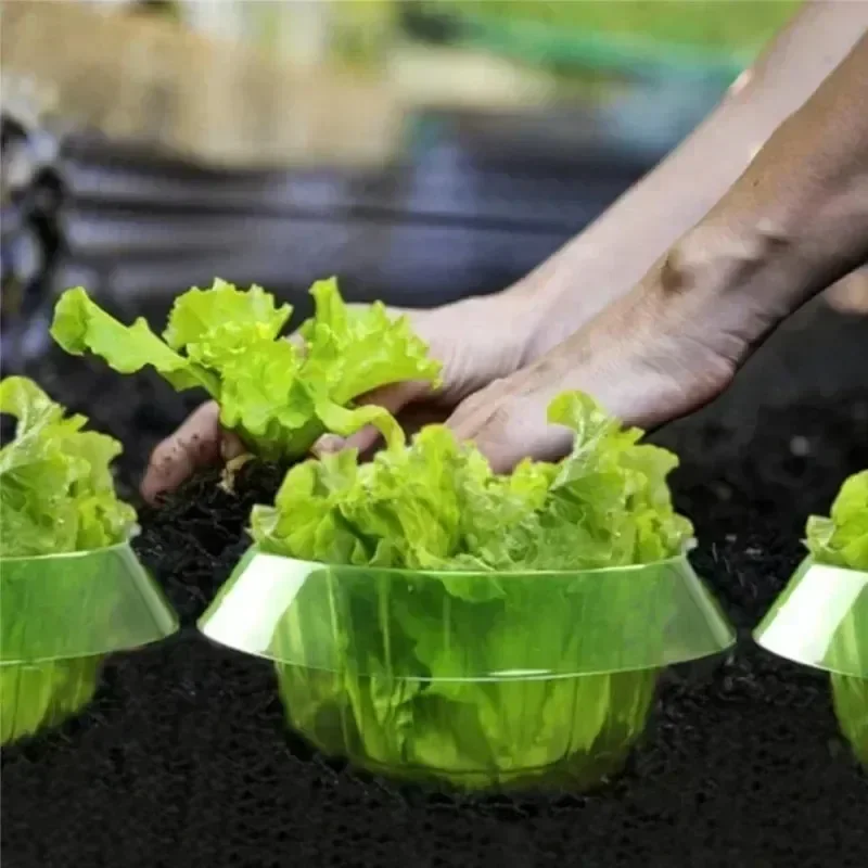 Защитные кольца для слизи раст – обзор и цена Vegetable Transplanter