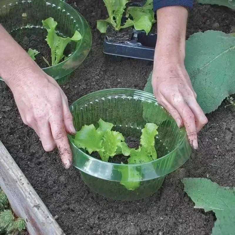 Защитные кольца для слизи раст – обзор и цена Vegetable Transplanter