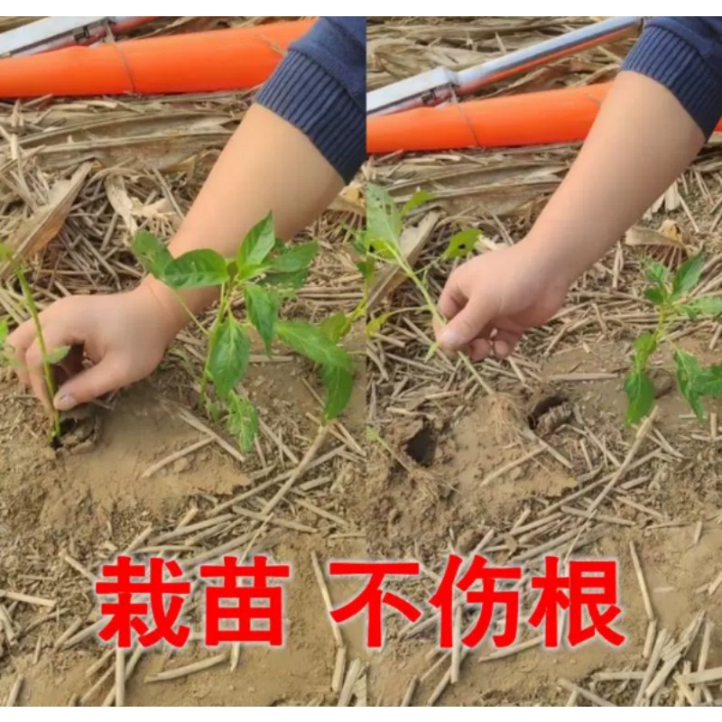 Садовый инструмент для посадки – обзор и цена Vegetable Transplanter